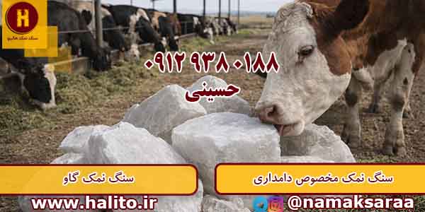 خرید سنگ نمک دام