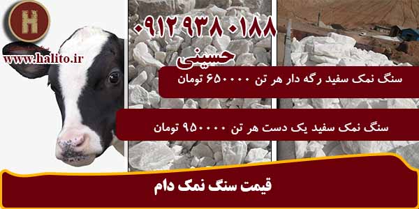 سنگ نمک برای گاو