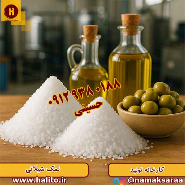 نمک شیلاتی