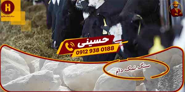 قیمت سنگ نمک دام