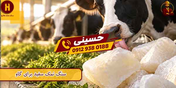 قیمت سنگ نمک دام