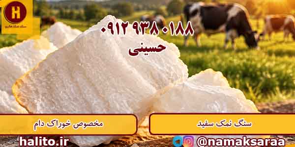 قیمت سنگ نمک دام